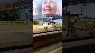 Doa Ibu Untuk Anaknya