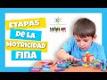 Motricidad FINA / Etapas de la motricidad fina - ACTIVIDADES para ESTIMULAR la motricidad fina