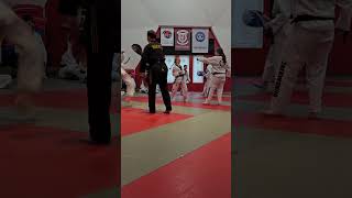 Gabriella's -  Black Belt  3d Star Tip Test - Kick Combo