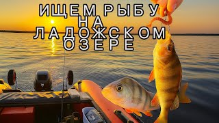 видео: Рыбалка с лодки на Ладожском озере/Ищем рыбу в эхолоте Lowrance/Сентябрь2025 картинка: Рыбалка с лодки на Ладожском озере/Ищем рыбу в эхолоте Lowrance/Сентябрь2025