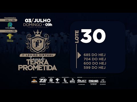 LOTE 30 HEJ 704   599   685   600