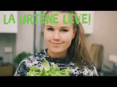 Video: Urtehagepleie - Hvordan ta vare på en urtehage