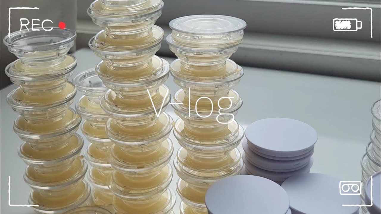 레진으로 그립톡만들기 / a.k.a 취미부자 / 유행하는 곰돌이그립톡