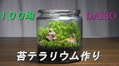 100均アイテムで苔テラリウムをつくる ダイソー編 How To Make A Moss Terrarium 22 Youtube