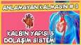 Gözün Yapısı ve Çalışması ile ilgili video