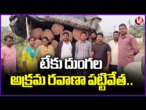Authorities Seize Vehicle Transporting Teak Logs Illegally | V6 News - V6NEWSTELUGU
