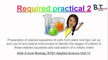 Required practical 2 A Level Biology/BTEC Applied Science (root tip squash, Mitosis) - BioTeach