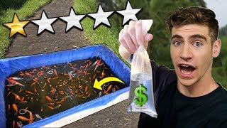 CHEAPEST AQUARIUM FISH SELLER ON THE STREET... (unbelievable find!)