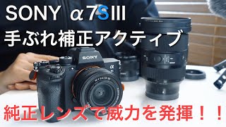 ✨極美品✨ソニー DSC-H7❤️手ぶれ補正でアクティブ撮影！ 伊達淳一のデジタルでいこう!】ソニー サイバーショット DSC-H7