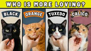 Famous Why You’ve Been Choosing the Wrong Cat Color for Years Net Worth