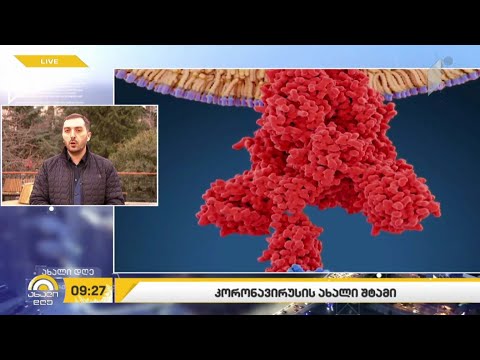 კორონავირუსის ახალი შტამი