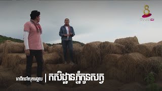 កសិដ្ឋានភ្នំកូនសត្វ   Babe bird farm  Part3   | អាជីពនាំសុភមង្គល