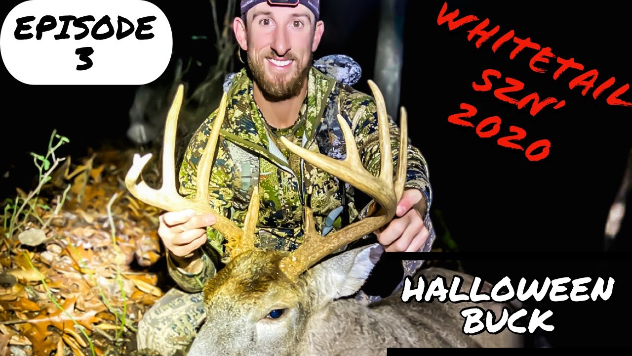 Pennsylvania archery hunting PUBLIC LAND YouTube