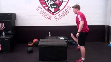Non-Counter Movement Box Jump