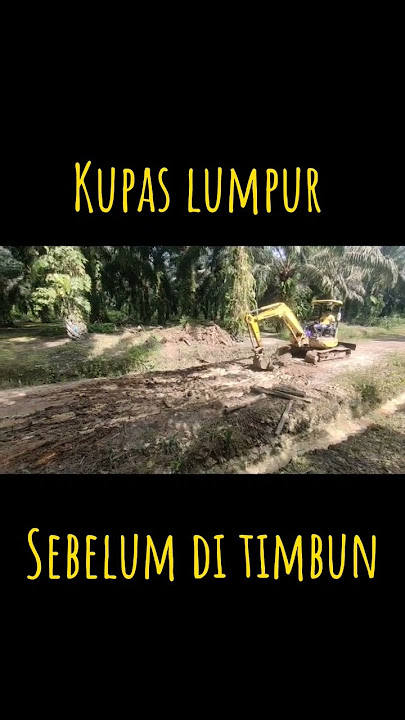 Perbaikan jalan di bantu Exsa mini #shorts