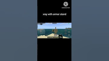 xray with armor stand