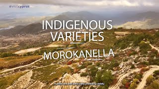 Morokanella (Indigenous Varieties Of Cyprus)