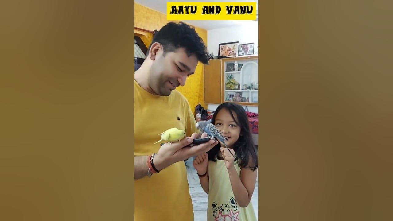 Candy Polo Ki Training 🐦🦜 ️🤩 #aayuandvanu #shorts #minivlog # ...