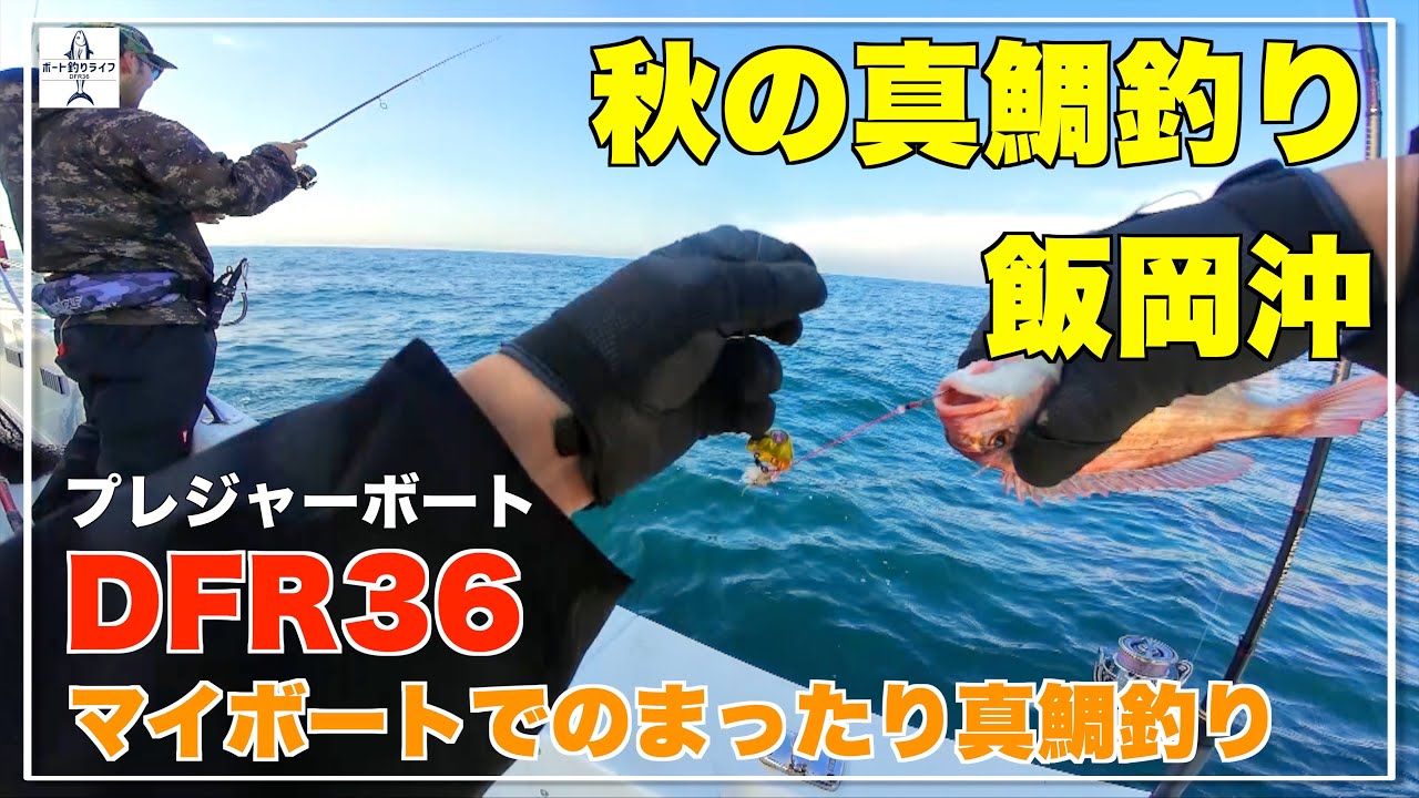 Is autumn red sea bream season approaching? Red sea bream fishing