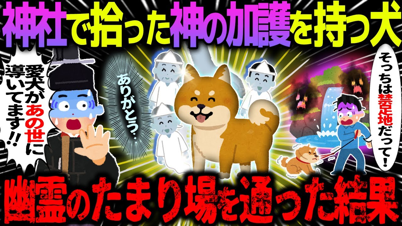 【ゆっくり怖い話】神社で拾った神の加護を持つ犬→幽霊のたまり場を通った結果…【オカルト】犬と滝つぼの霊溜まり