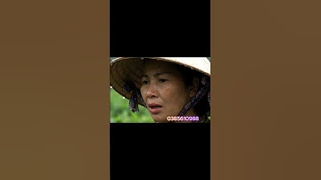 Video GG AI Veo3 Pro Free Prompt Câu chuyện 2 ông bà