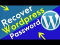 How to recover Wordpress 6.0.1 Username and Password on Localhost Using PHPmyadmin