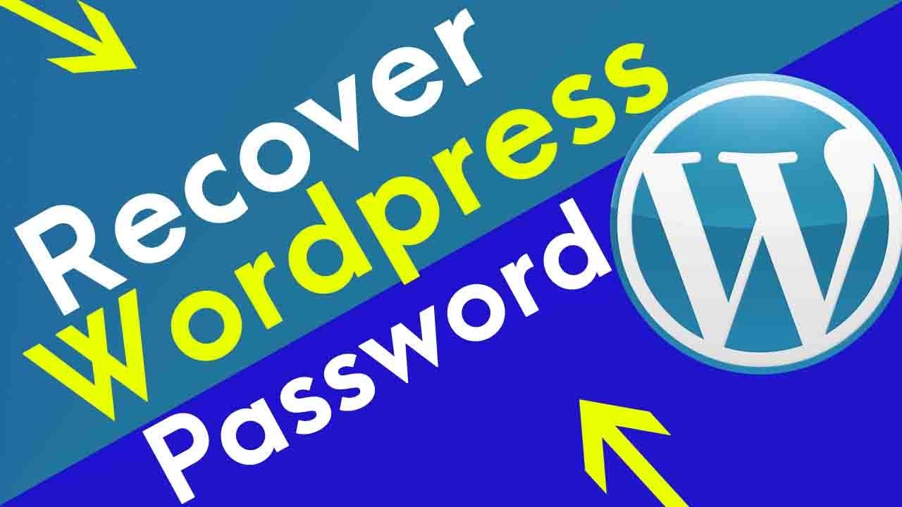 How To Recover WordPress Password On Localhost – HASNPX