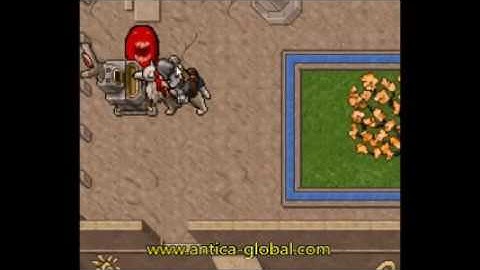 Antica Global servidor otserv tibia