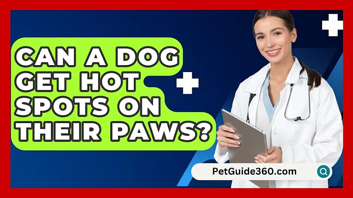 Can A Dog Get Hot Spots On Their Paws? - PetGuide360.com