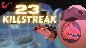 23 Killstreak | Short Streak | Shell Shockers