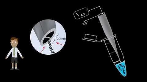 Nanoscale Tweezers for Single Cell Biopsies