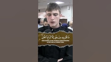 Surah An-Nisa Ayat 157-158 | Fatih Seferagic | سورة النساء | Gesù non l'hanno ucciso