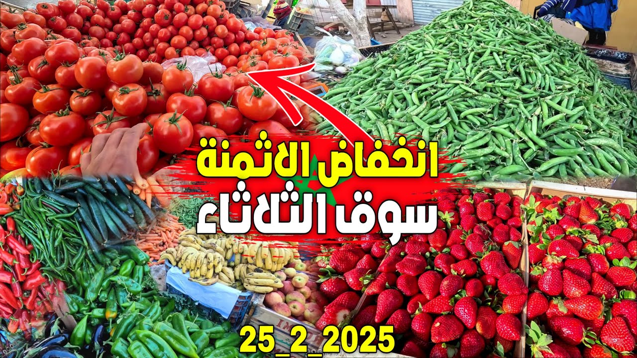 إنخفاض أثمنة الخضر والفواكه والغنم بشكل مفاجئ بسوق الثلاثاء بركان 🇲🇦 هل بدأنا نخرج من أزمة الغلاء؟