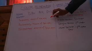 color blindness mnemonic to remember,protanomaly,deuteranomaly,tritanomaly
