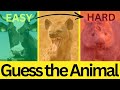 Guess the Sound | 35 Animal Sounds Quiz | Easy to Hard Mp3 Song