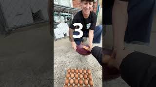 Day 6 of giving eggs away 1 follower 1 egg