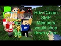 How Dream SMP Members would chop down a tree