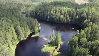 Река Тулемайоки (Карелия), июль 2022