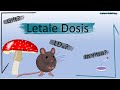 Letale dosis ld50