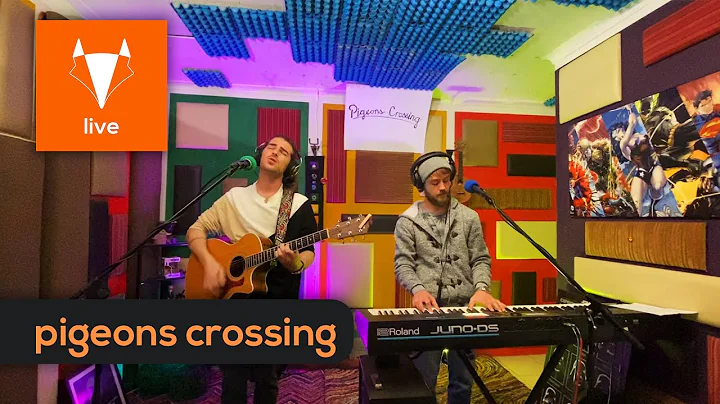 Fox Lounge Live #3 - Pigeons Crossing