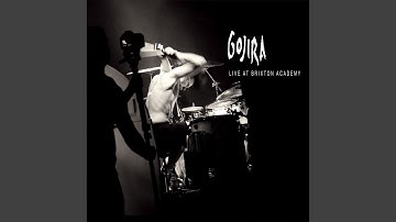 Drum Solo (Live at Brixton Academy, London, UK 3/29/2013)