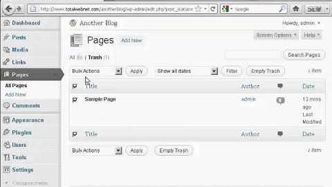 Video 37   How To Clean Up A New WordPress Blog