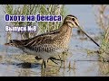 Охота на бекаса | Выпуск №8 (RUS)