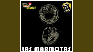 Vignette de la vidéo "Banda Tierra Mojada - Las Marmotas"