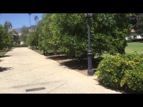 Virtual walk Claremont California-Scripps Campus