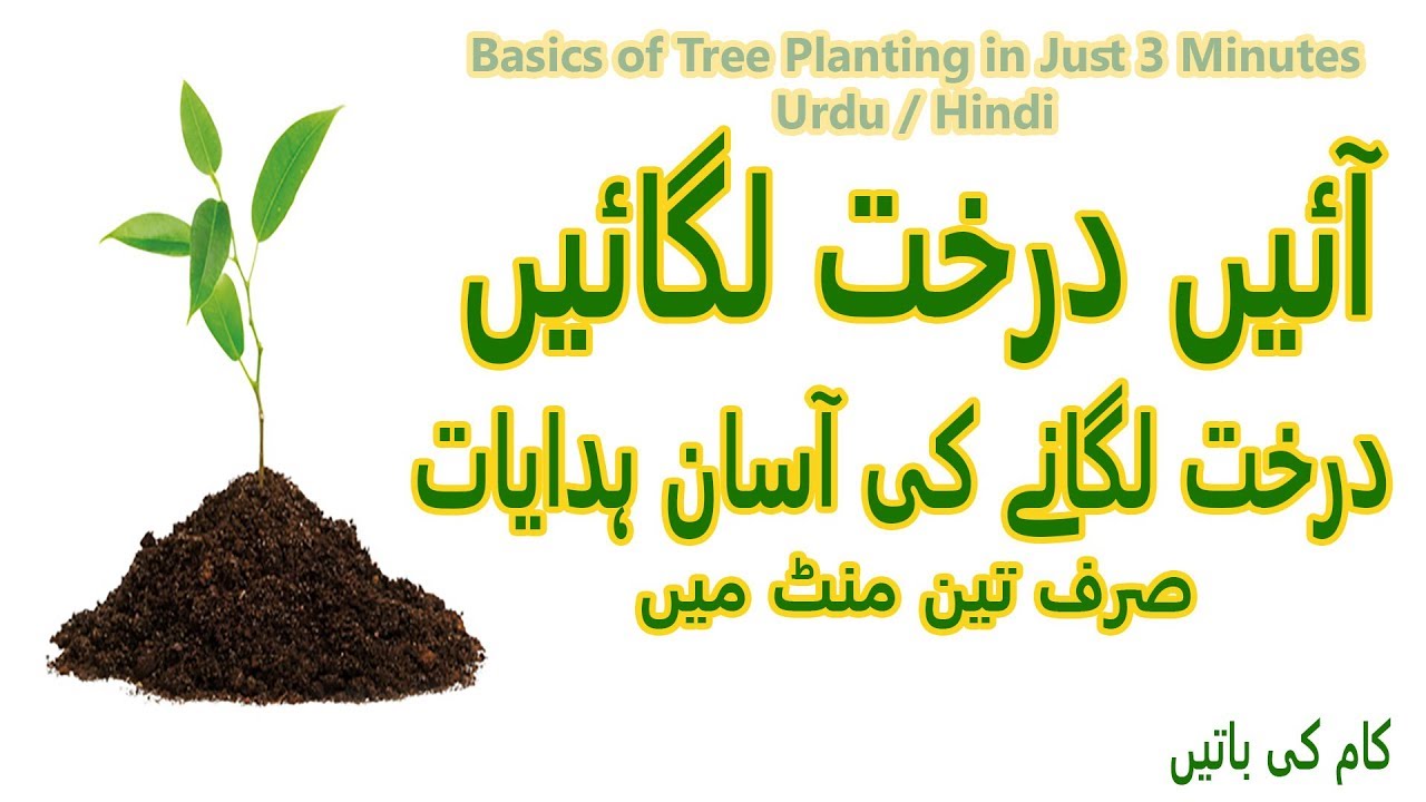 tree plantation essay in urdu