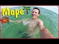 ВЛОГ ♦ Приключение на море. Кирилловка 2018