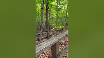 "تلاوة تهدّئ الروح… القرآن بصوت يلامس القلب ✨"