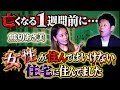 初【熊切あさ美】亡くなる１週間前にわかる○○/女性が住んではいけないいわくつきマンションに住んでいました『島田秀平のお怪談巡り』