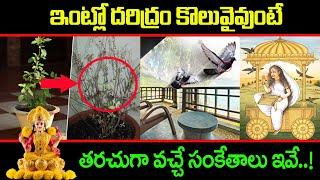 ఇటల దరదర కలవవట తరచగ వచచ సకతలఇవ Daridram Povalante Emi Cheyali Sudarshanamtv